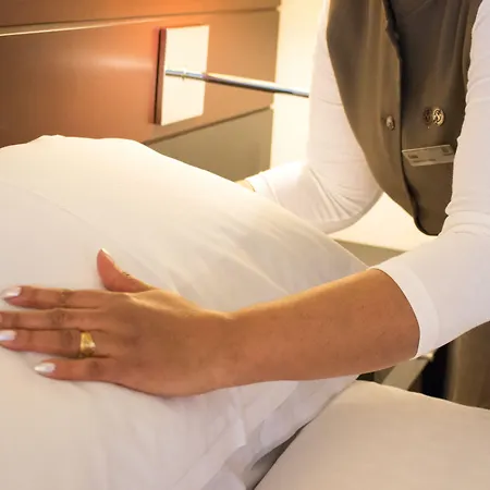 Sheraton Amsterdam Airport And Conference Center Hotel