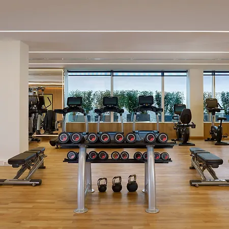 Hotel Sheraton Amsterdam Airport And Conference Center 4*