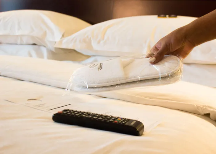 Sheraton Amsterdam Airport And Conference Center מלון סכיפהול